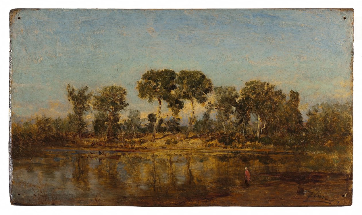 阿尔勒和阿维尼翁之间的罗纳河，1860 年至 1865 年间（木板油画） 作者 费利克斯·齐姆