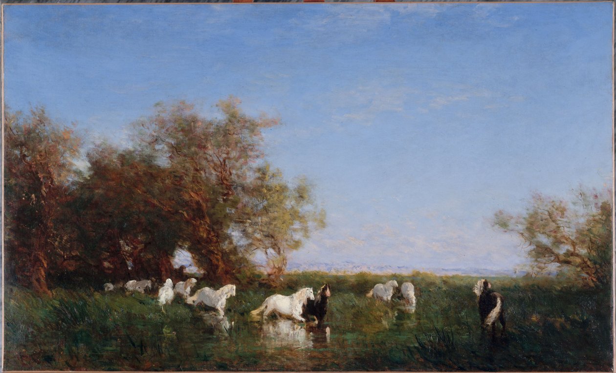 卡马格的野马，1890 至 1895 年间（布面油画） 作者 费利克斯·齐姆