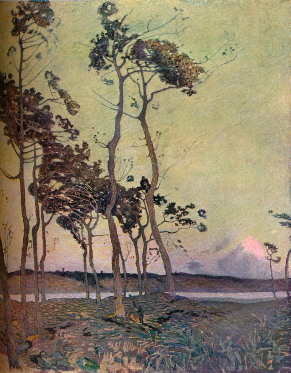 奥恩湾》，1911年 作者 弗洛伦斯·埃斯特