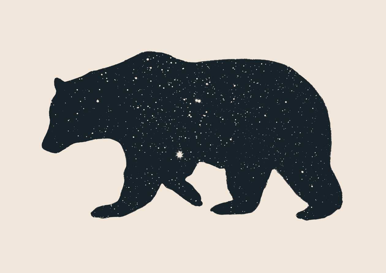 Bear 作者 弗洛伦德·博达特