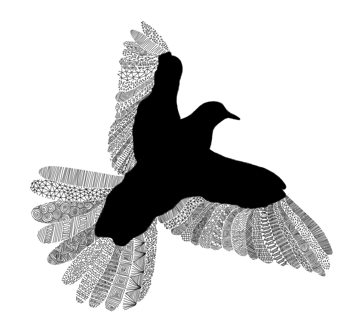 Bird Line Art 作者 弗洛伦德·博达特