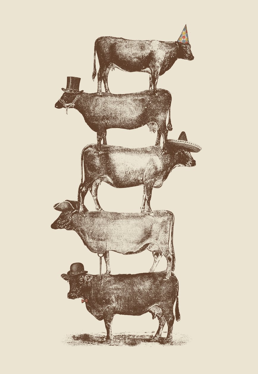 Cow Cow Nuts 作者 弗洛伦德·博达特