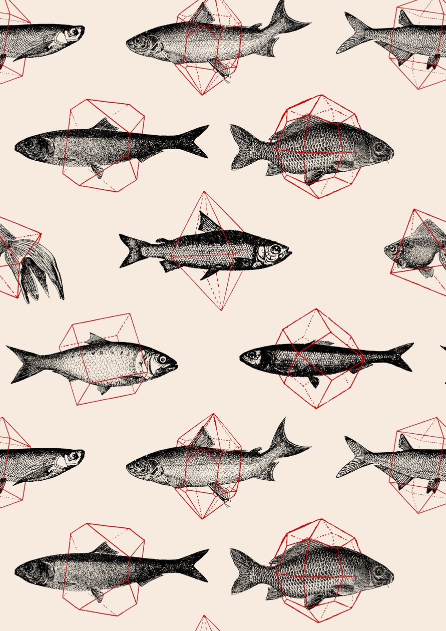 Fishes in Geometrics 作者 弗洛伦德·博达特