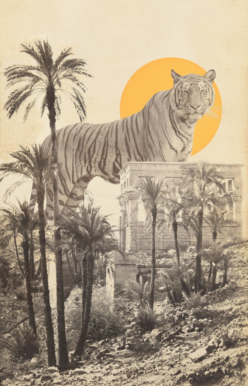 Giant Tiger in Ruins and Palms 作者 弗洛伦德·博达特