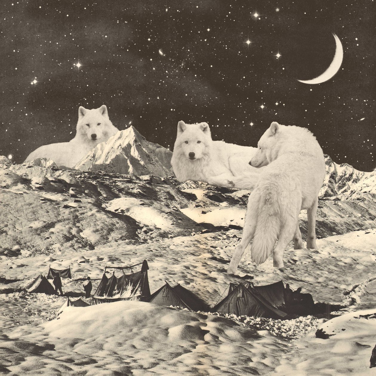 Three Giant White Wolves on Mountains 作者 弗洛伦德·博达特