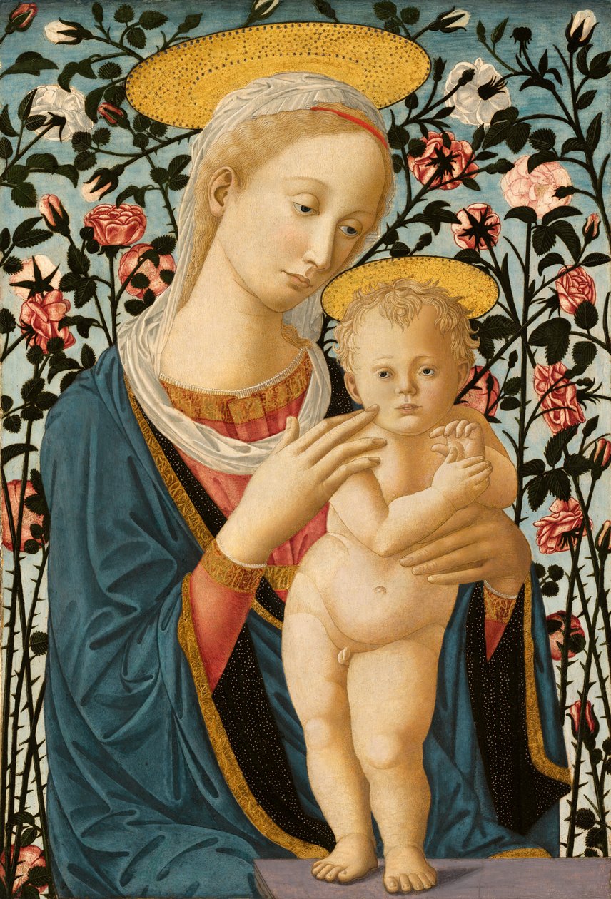 圣母与儿童 作者 Fra Filippo Lippi 和 Pesellino 的追随者