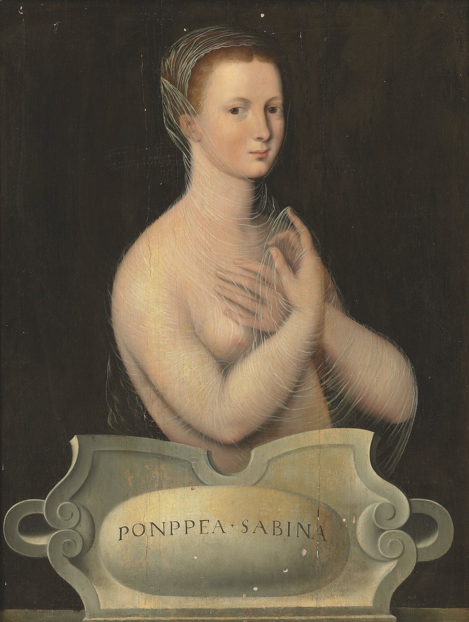 Poppaea Sabina 的半身肖像，身着透明面纱，位于石刻图案前（板面油画） 作者 枫丹白露学校