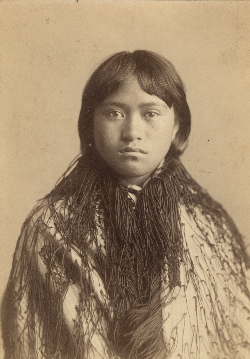 Ruto Rawira，1880年（专辑打印） 作者 福伊兄弟工作室