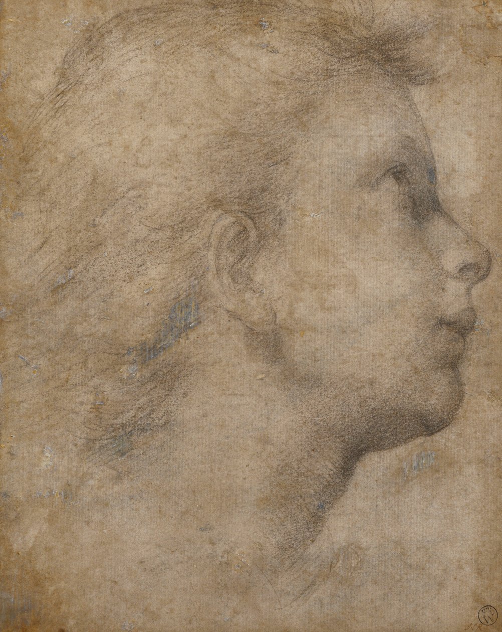 在“个人资料”中向右仰望的天使头， 作者 巴托洛梅欧（Fra Bartolomeo）