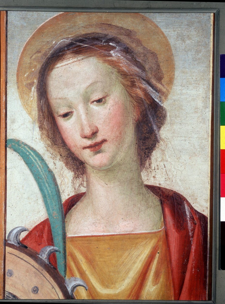 图片不明 作者 巴托洛梅欧（Fra Bartolomeo）