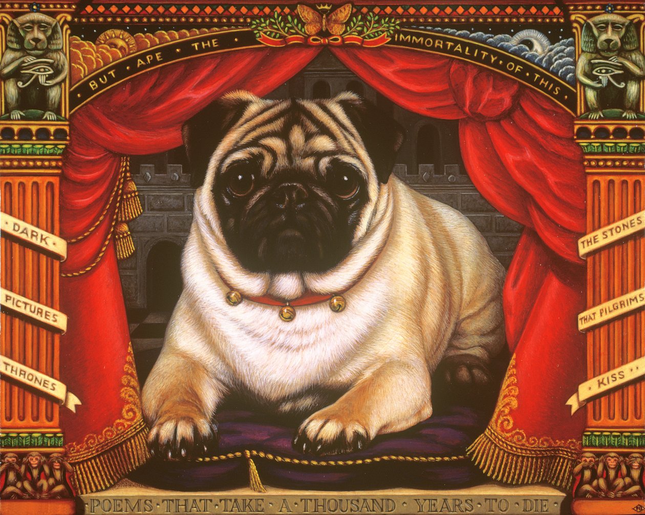 Nabokovs Pug，2006年（面板上的油和蛋彩画） 作者 弗朗西斯·布鲁姆菲尔德