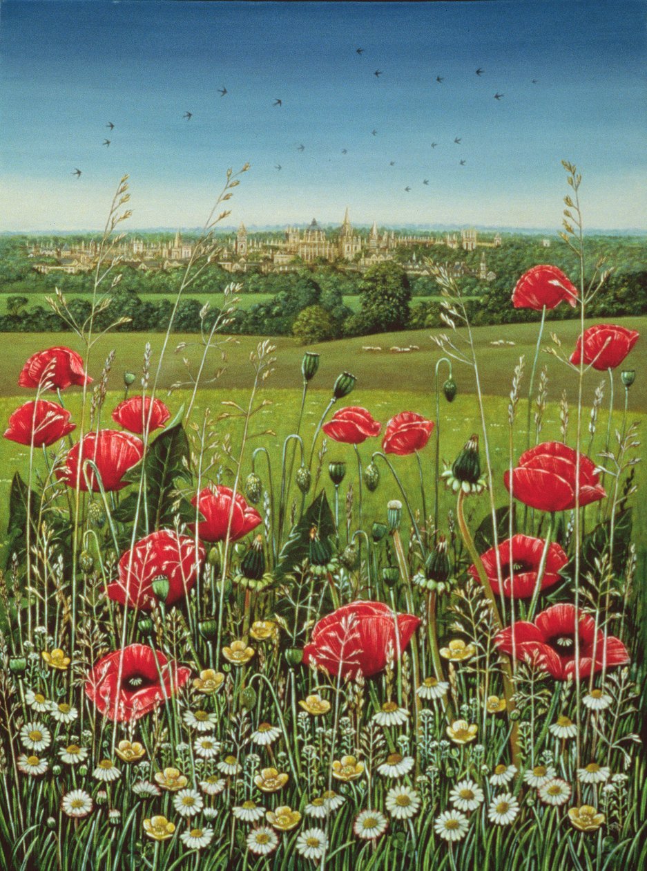 牛津罂粟花，1983年（面板上的油和蛋白） 作者 弗朗西斯·布鲁姆菲尔德