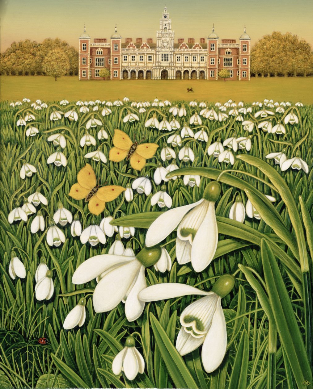 Snowdrop Day，Hatfield House，1999（油田和油田） 作者 弗朗西斯·布鲁姆菲尔德