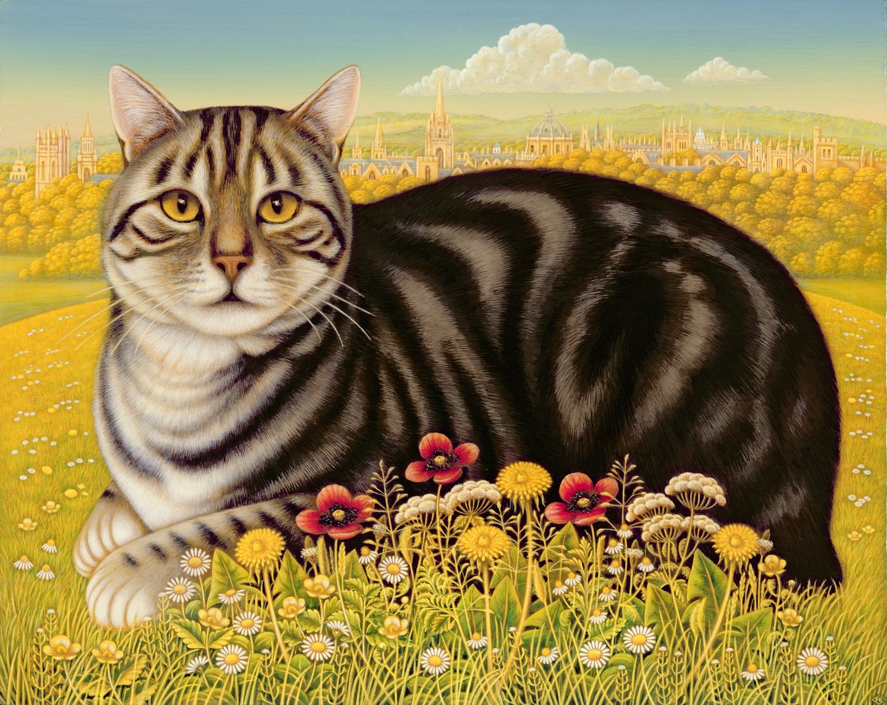 牛津猫，2001年（面板上的油和蛋彩画） 作者 弗朗西斯·布鲁姆菲尔德
