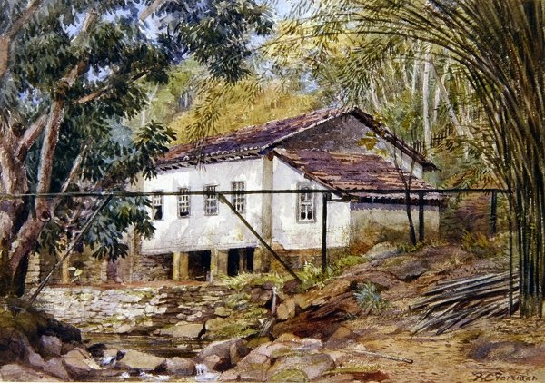 英属西印度群岛（纸上水彩画） 作者 弗朗西斯·C·费尔曼