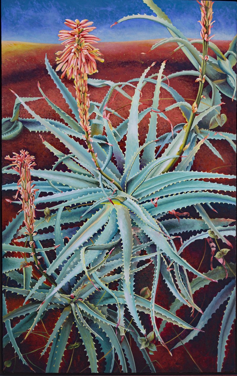 Aloe 作者 弗朗西斯·费迪南德斯（Frances Ferdinands）
