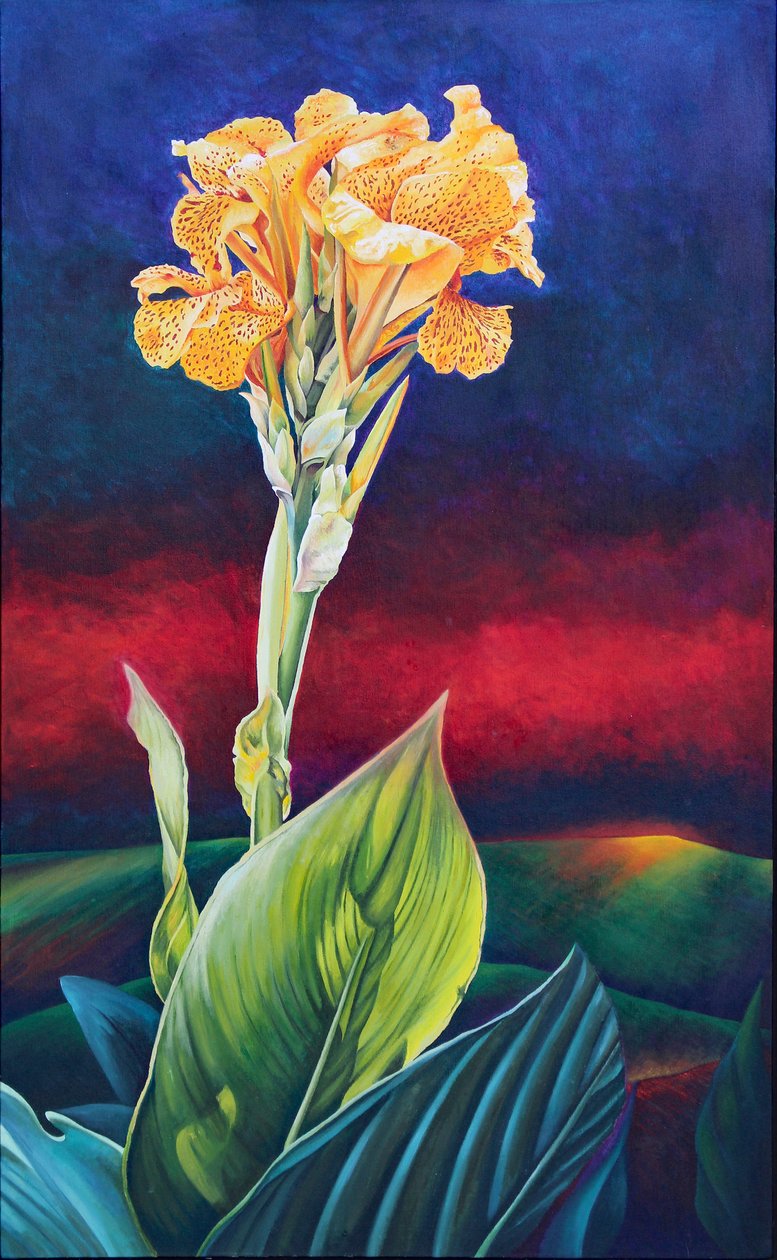 Yellow Canna Lily 作者 弗朗西斯·费迪南德斯（Frances Ferdinands）
