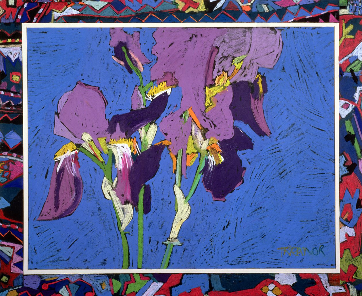 国旗鸢尾花（油画棒和粉笔拼贴） 作者 弗朗西斯·特朗诺