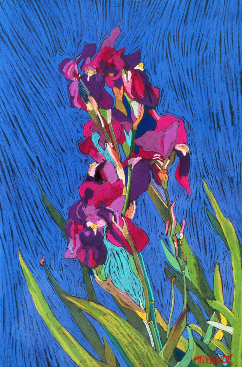 鸢尾花 作者 弗朗西斯·特朗诺
