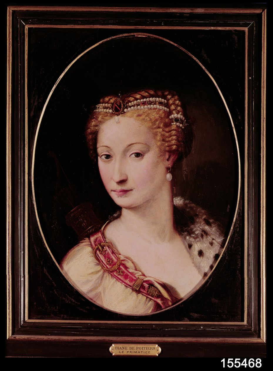 Diane de Poitiers（1499-1566）（石板上的油） 作者 弗朗切斯科·普里马蒂奇奥