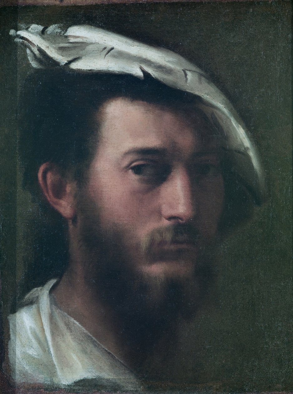自画像，1525-30 作者 弗朗切斯科·普里马蒂奇奥