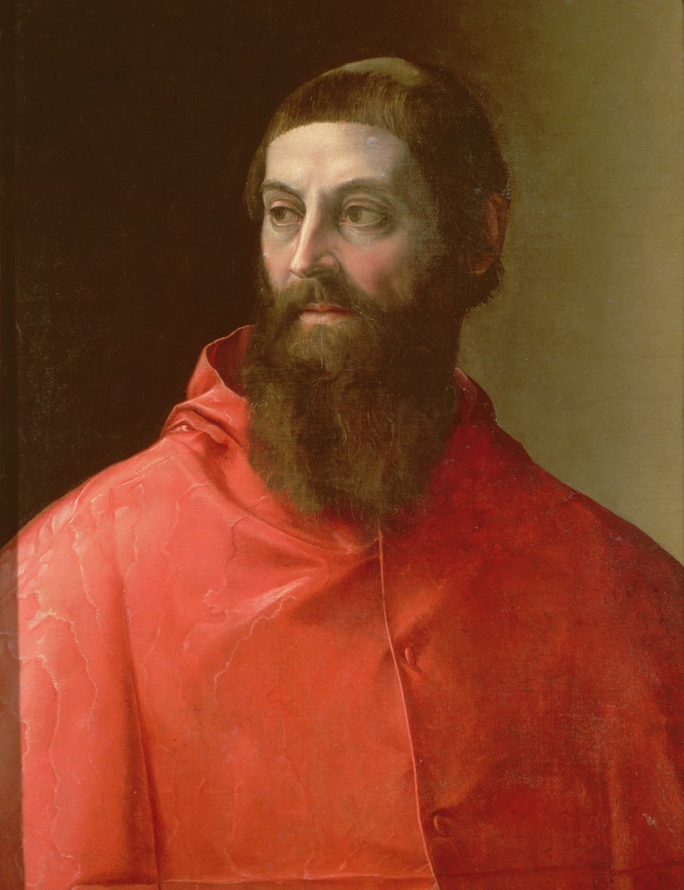 红衣主教Rudolfo Pio，法恩扎主教（约1500-64），1528年 作者 弗朗西斯科·德·罗西·萨尔维亚蒂·切奇诺