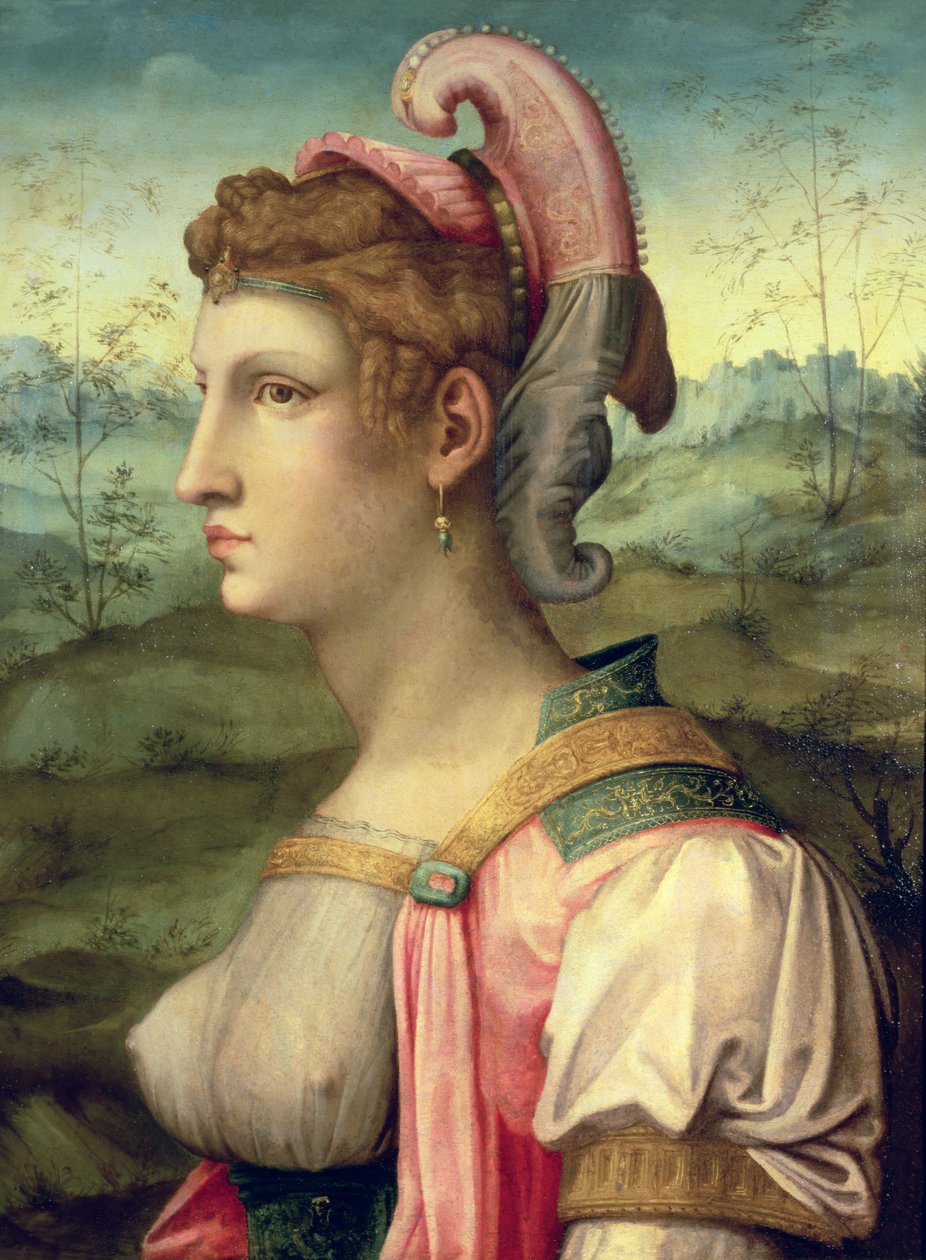 Sibyl，c.1540 作者 弗朗西斯科·乌贝蒂尼·威尔第·巴奇亚卡