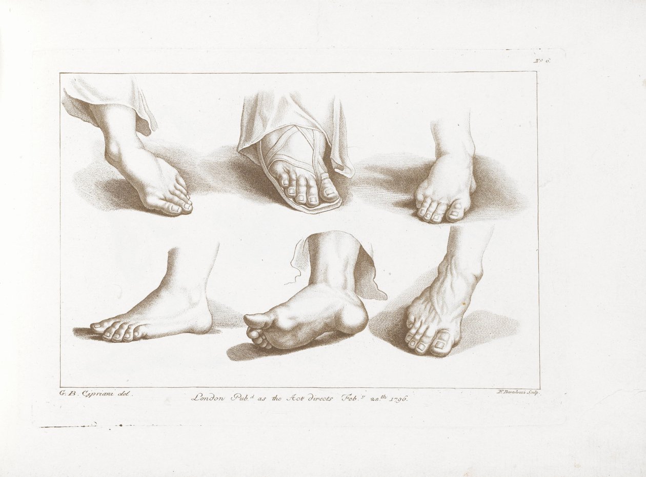 六只脚
西普里阿尼斯绘画基础（系列名称）
西普里阿尼斯的绘画基础（系列名称） 作者 弗朗切斯科·巴托洛齐（Francesco Bartolozzi）