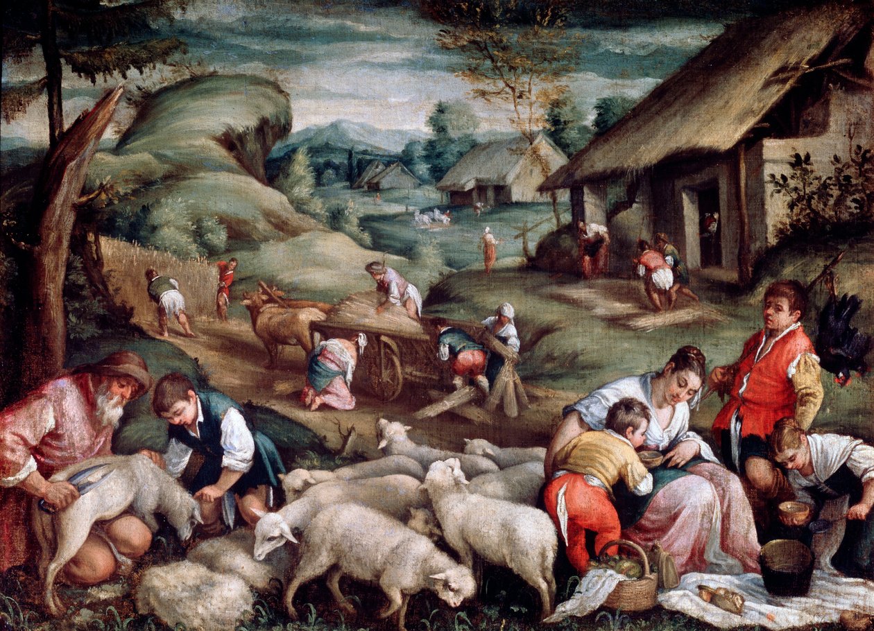 夏天。羊剪，c1570-c1580 作者 弗朗切斯科·巴萨诺（Francesco Bassano）