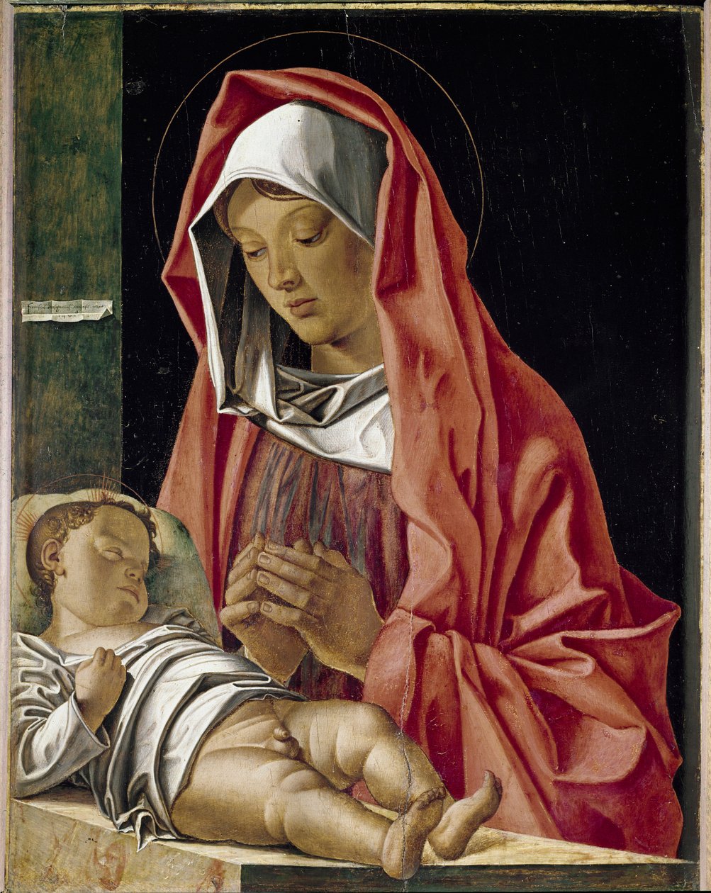 圣母崇拜孩子 弗朗西斯科·邦西诺里（Francesco Bonsignori，约 1455-1519 年）1483 年维罗内的绘画，意大利卡斯特维奇奥博物馆 作者 弗朗切斯科·邦西诺里（Francesco Bonsignori）