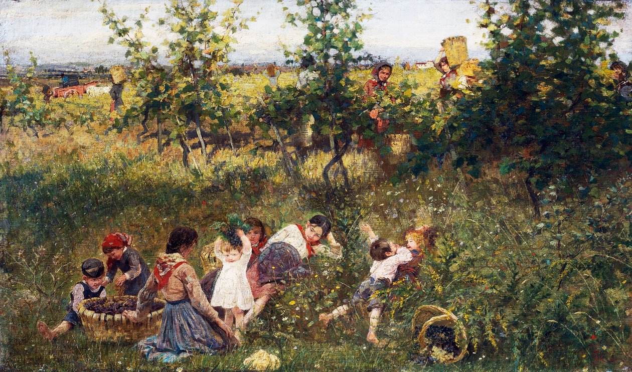 葡萄收获》，弗朗切斯科-吉奥利（1846-1922 年）的画作，布面油画，39、5x66 厘米 作者 弗朗西斯科·吉奥利