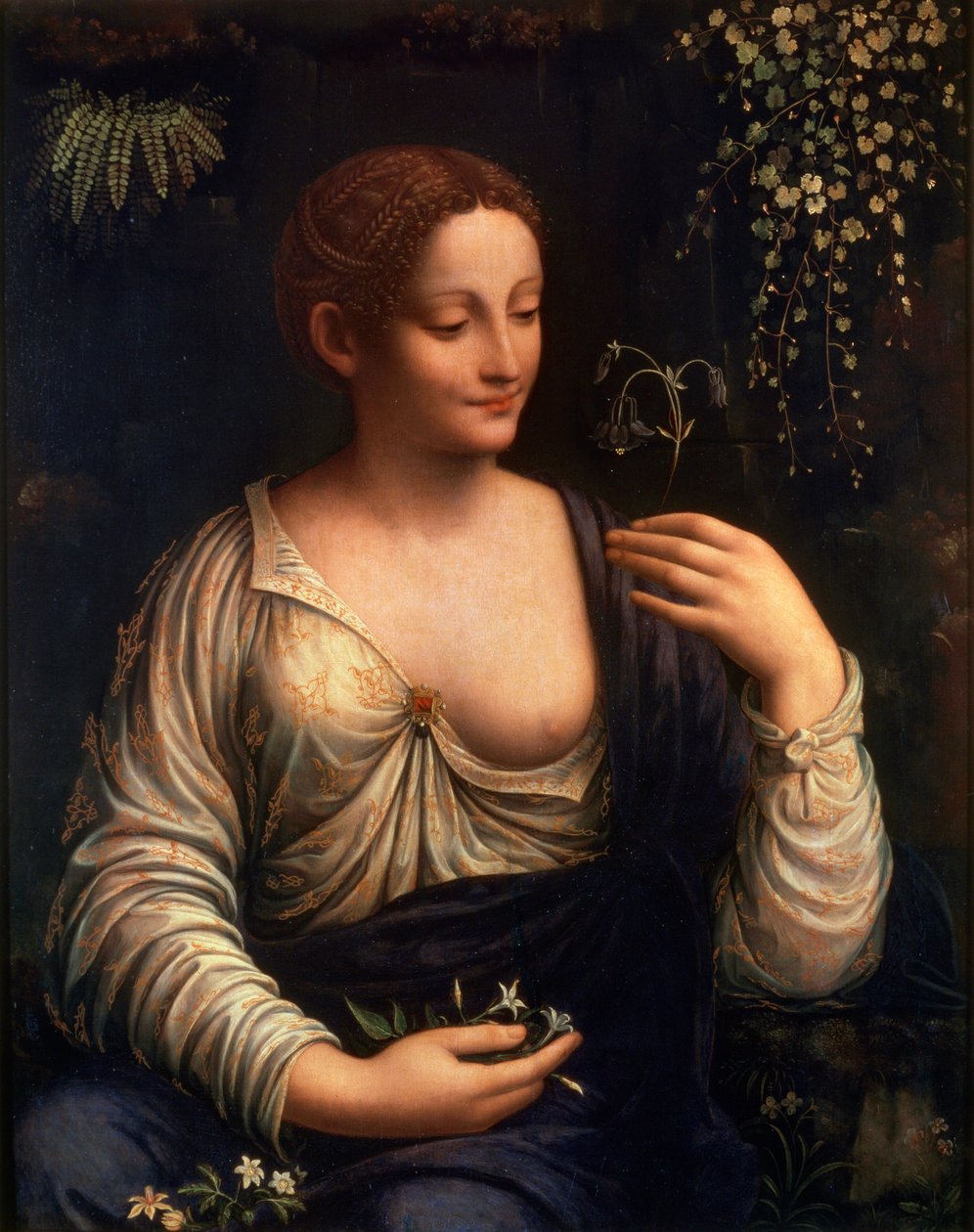 植物区系，c1510-c1515 作者 弗朗切斯科·梅尔齐（Francesco Melzi）