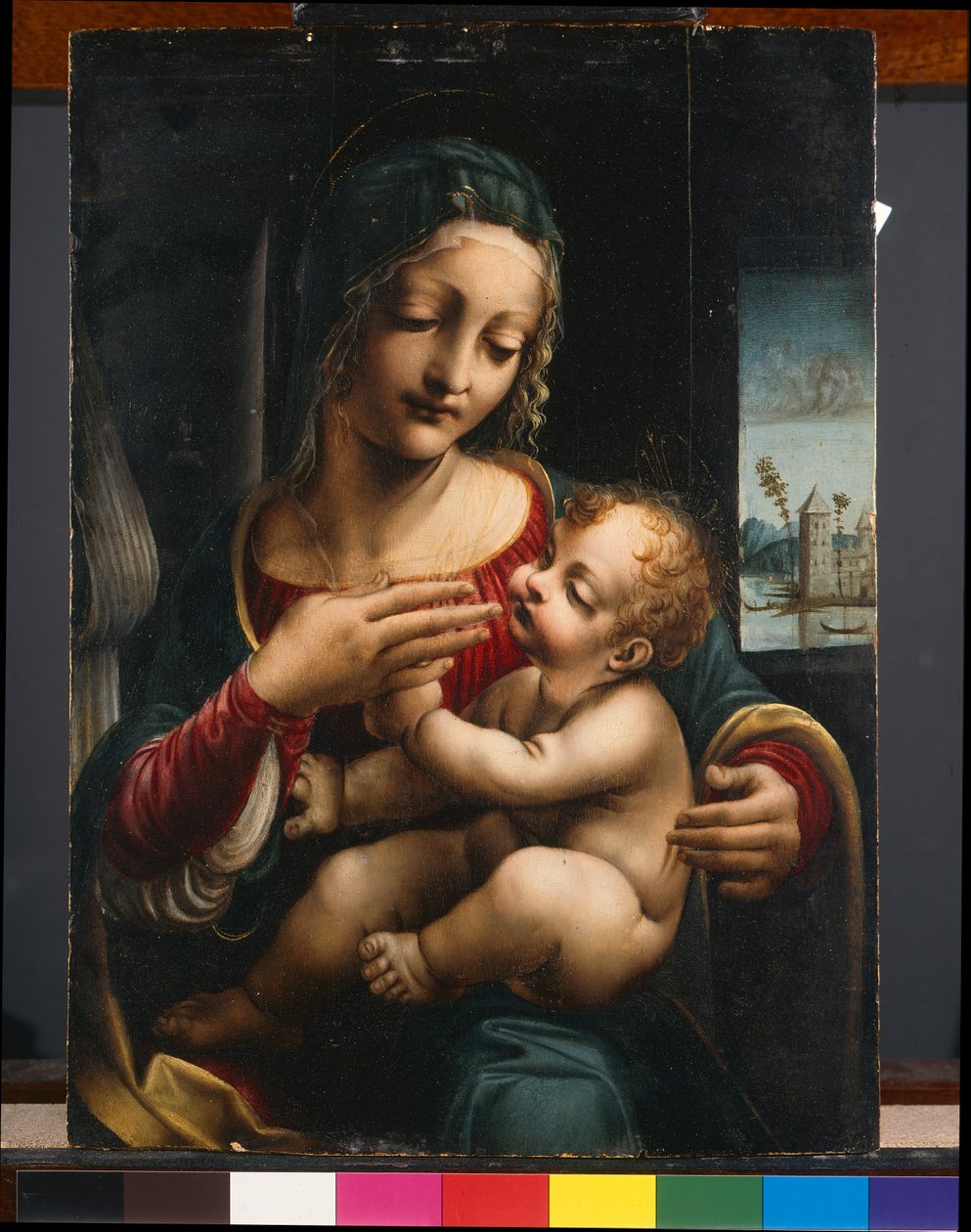 圣母与圣子，c.1490-1500（面板油画） 作者 弗朗切斯科·拿破仑（Francesco Napoletano）