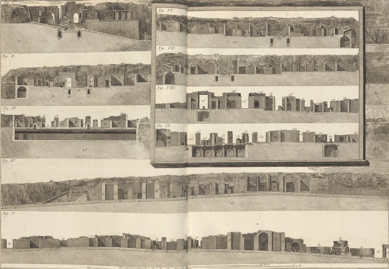 剖面图，显示了Pom...计划中显示的建筑的不同方面，1804年。 作者 弗朗切斯科·皮拉内西（Francesco Piranesi）