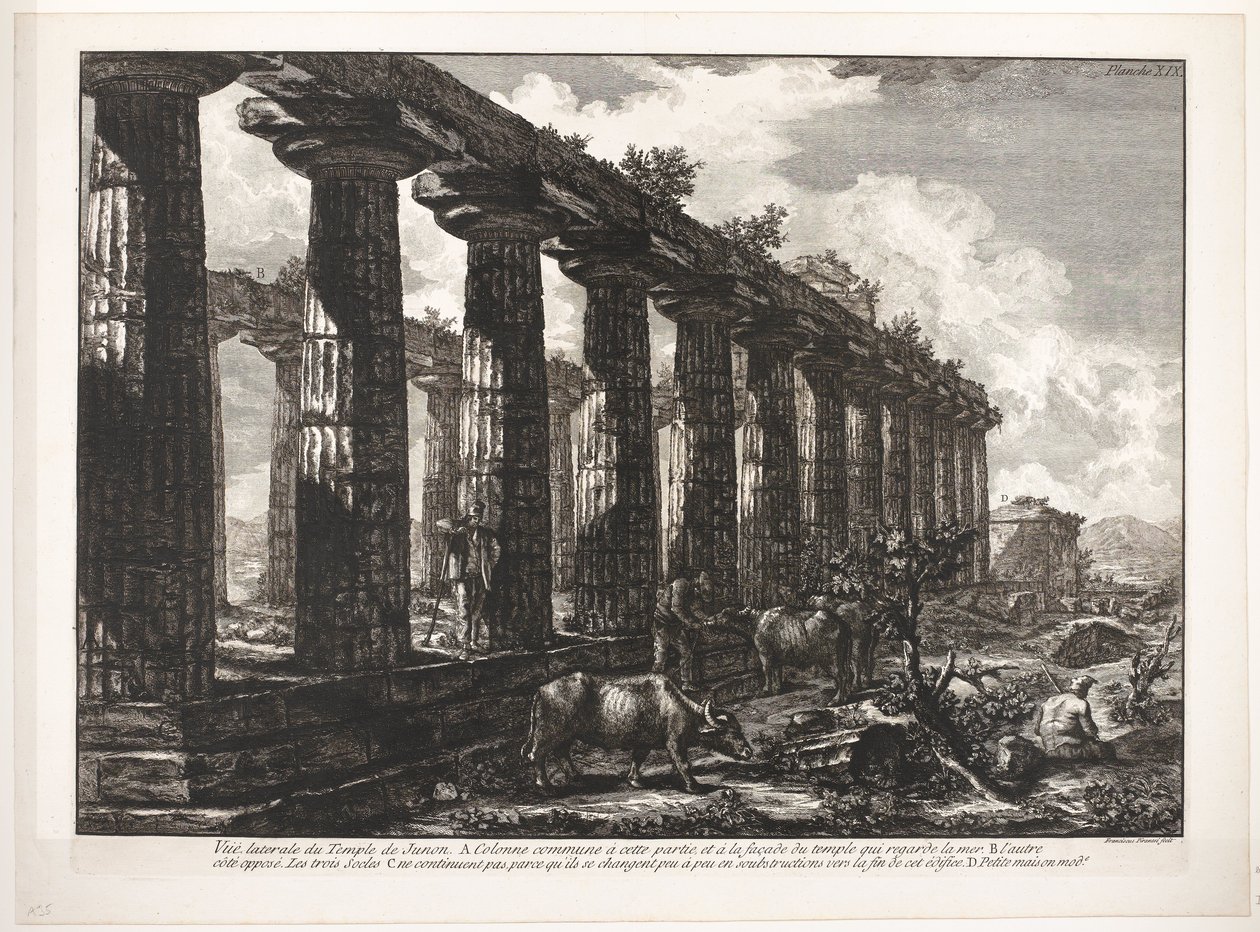 帕埃斯顿的雅典娜神庙
朱诺神庙 作者 弗朗切斯科·皮拉内西（Francesco Piranesi）