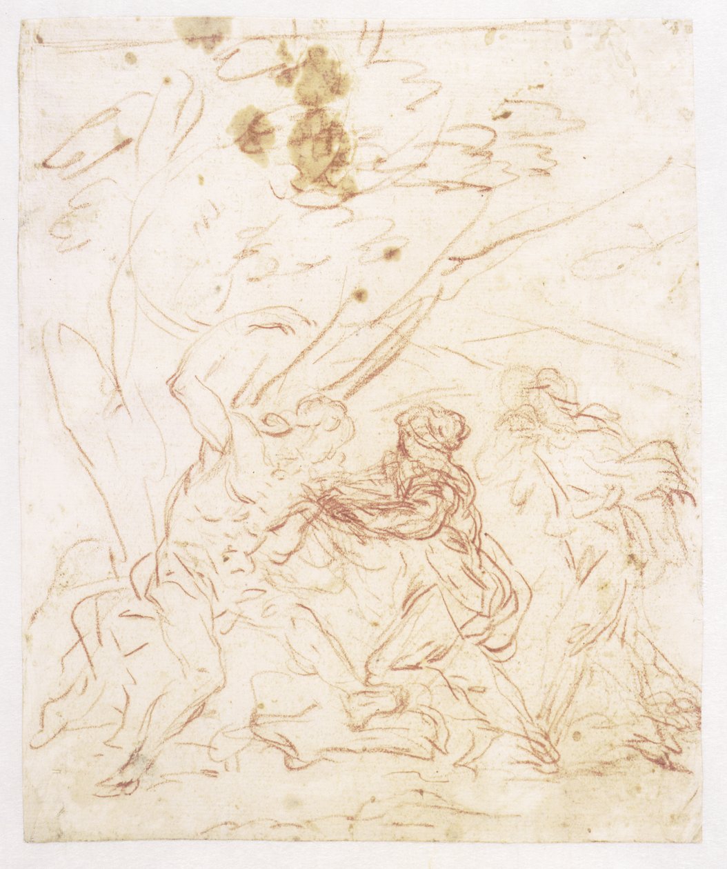圣艾琳照顾的圣塞巴斯蒂安 作者 弗朗切斯科·索利米娜（Francesco Solimena）