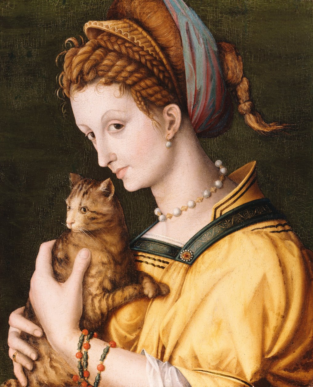 戴猫的女士，约1525-30年 作者 弗朗切斯科·乌贝蒂尼·巴基亚卡