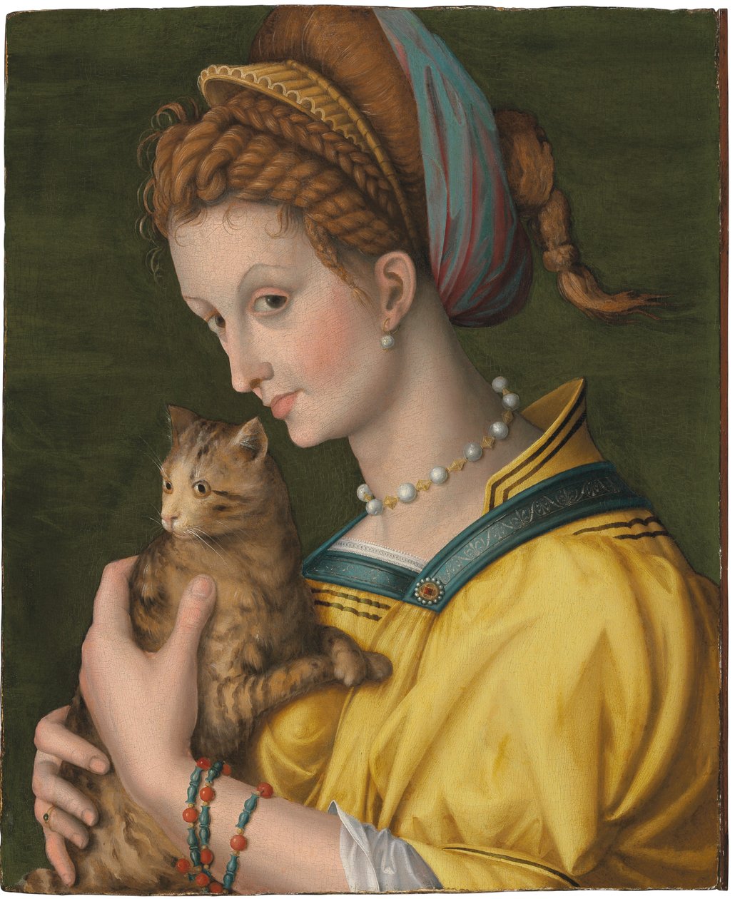 抱着一只猫的年轻女士的画像》 作者 弗朗西斯科·乌贝蒂尼·威尔第·巴奇亚卡