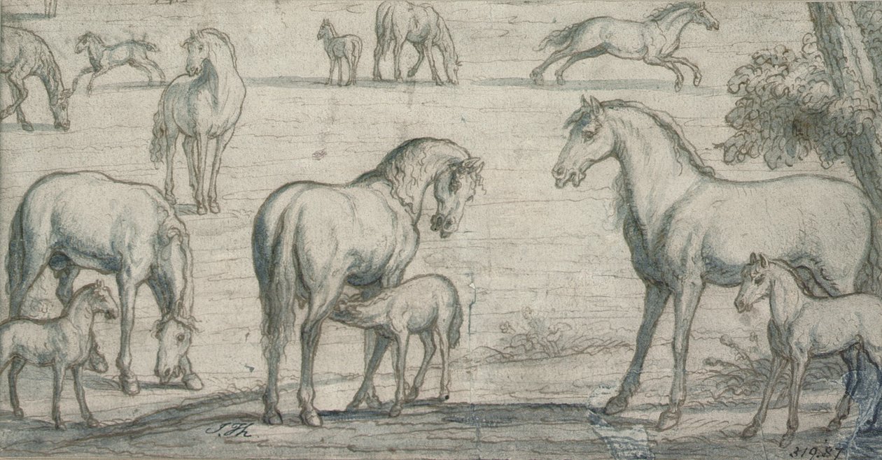 Mares and Foals，17世纪（图） 作者 弗朗西斯·巴洛