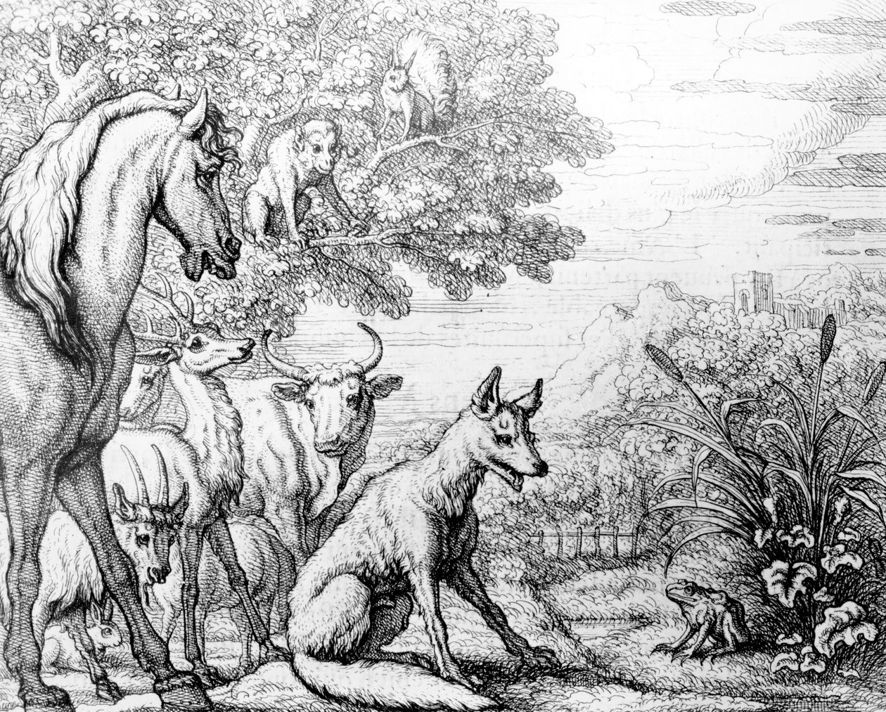 雄心勃勃的青蛙，来自&39;Aesop&39;s Fables&39;的插图，1687年 作者 弗朗西斯·巴洛