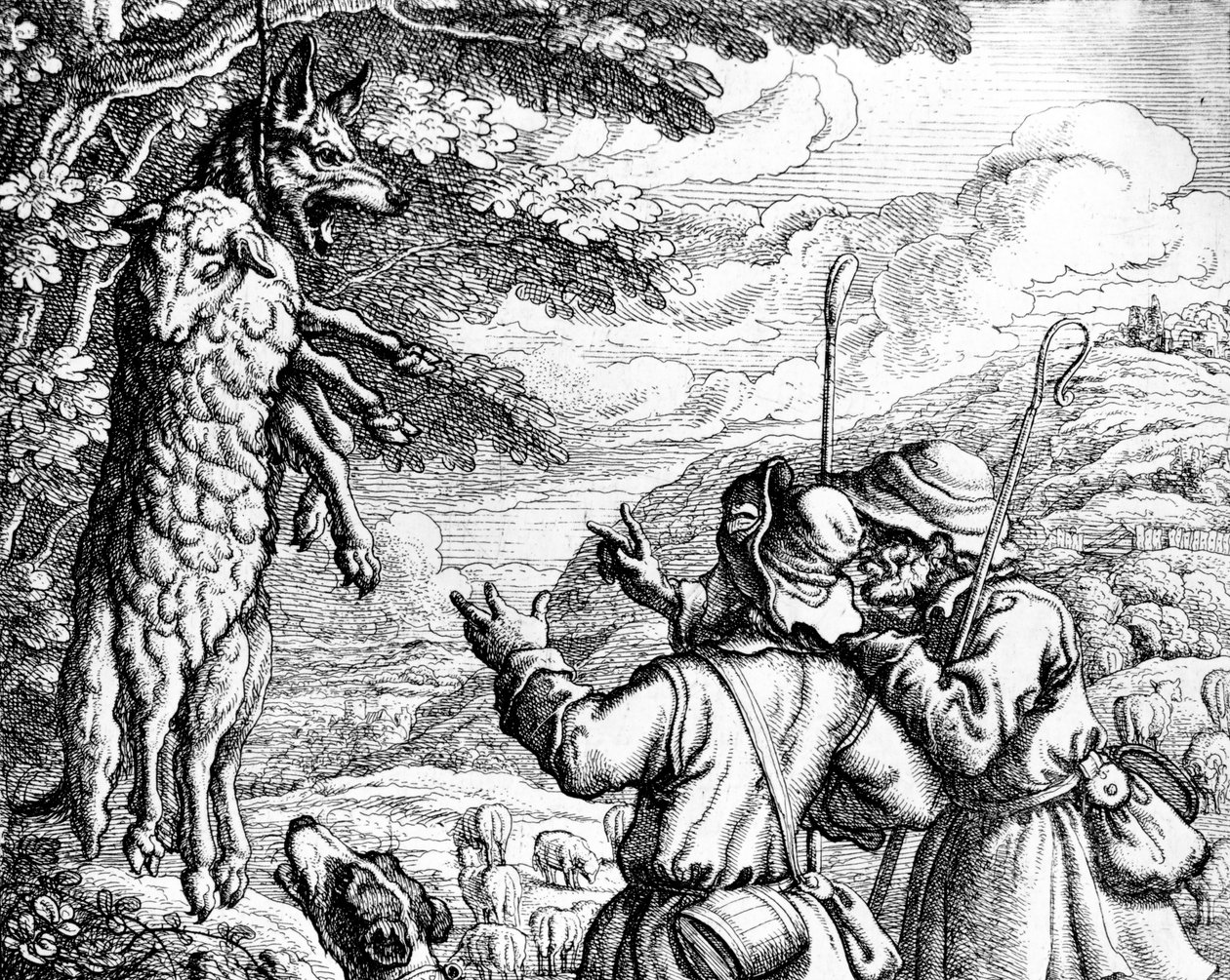 1687年的羊皮服装中的狼 作者 弗朗西斯·巴洛