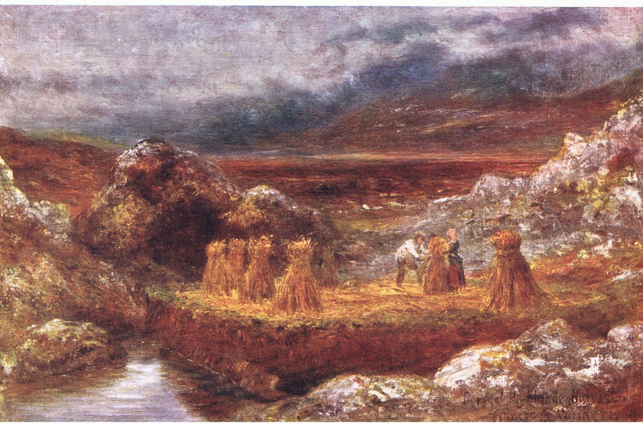 多尼戈尔收获，来自Peeps at Many Lands：Ireland，由Adams＆Charles于1909年出版 作者 弗朗西斯·沃克