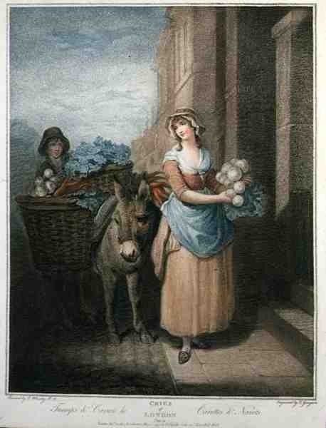 "Turnips and Carrots Ho"，《The Cries of London》第13版，由Thomas Gaugain（1748-1812）雕刻，由Colnaghi & Co.出版。 作者 弗朗西斯（后）惠特利