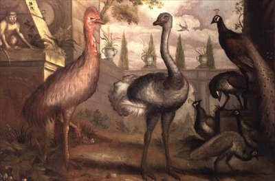 鸟类集》（油彩） 作者 弗朗西斯·巴洛
