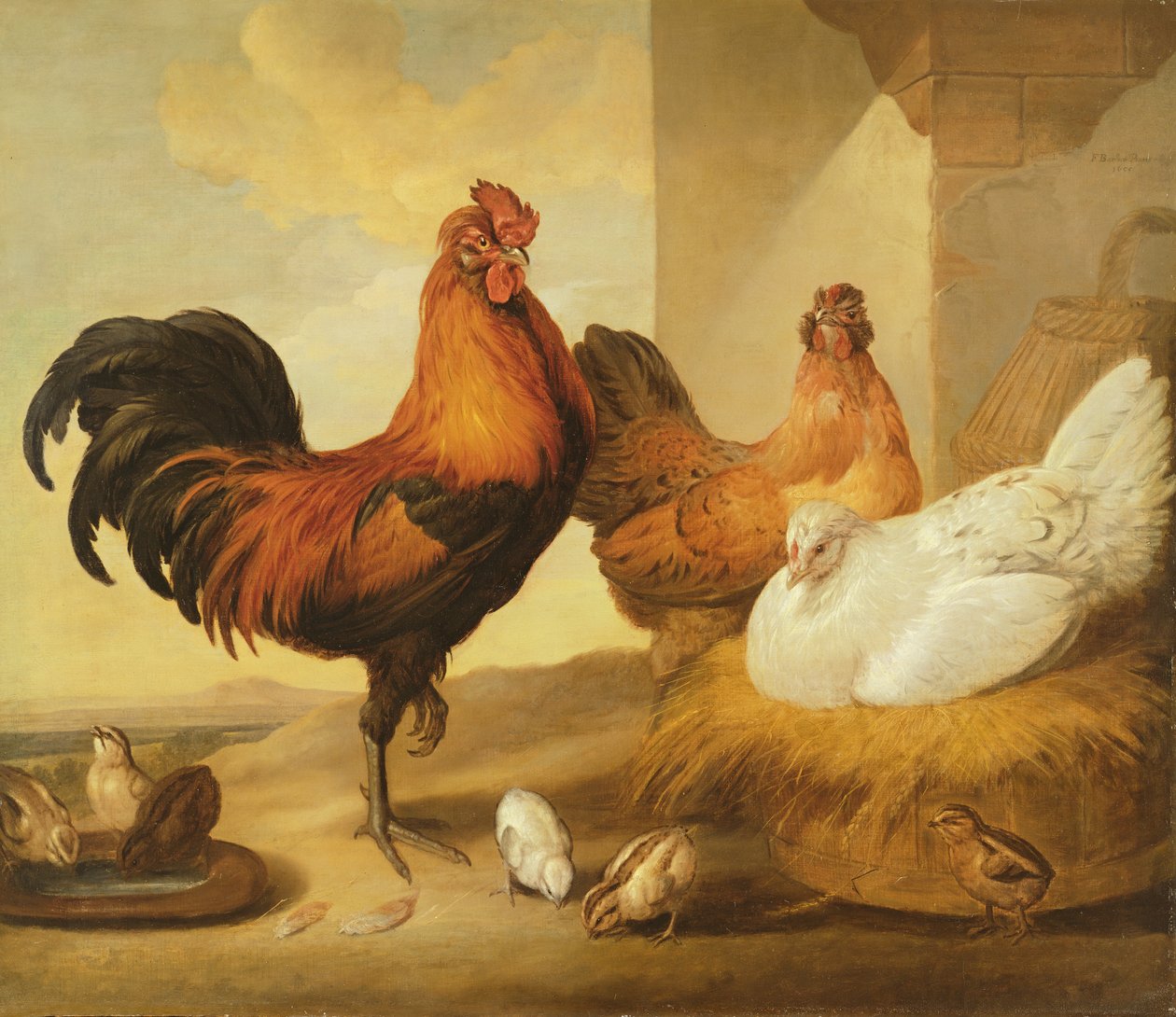 国内公鸡，母鸡和小鸡，1655年 作者 弗朗西斯·巴洛