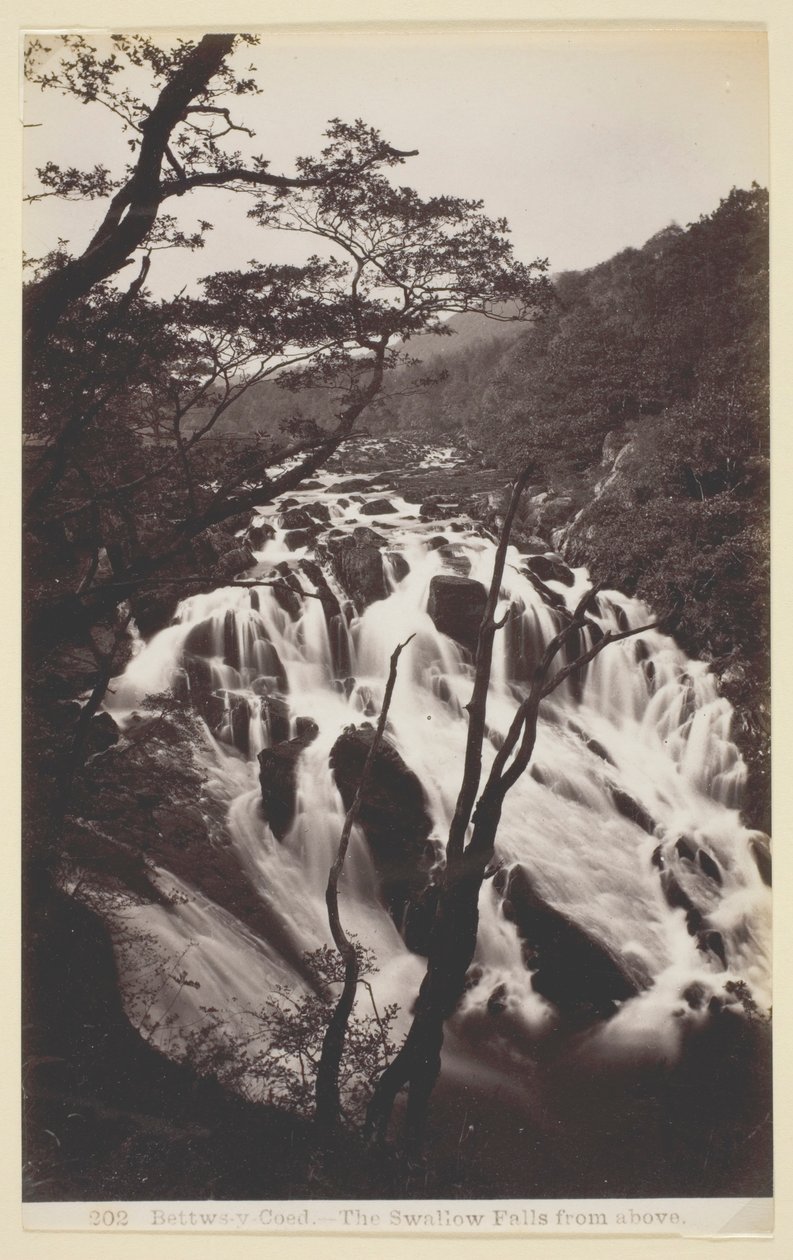 Bettw-s-y Coed，燕子从天而降 作者 弗朗西斯·贝德福德