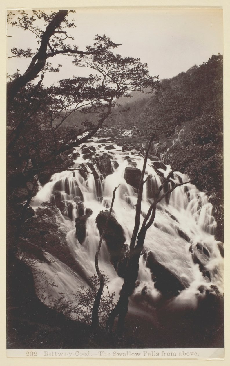 Bettws-y Coed, 燕子从上面掉下来, 186094. 作者 弗朗西斯·贝德福德