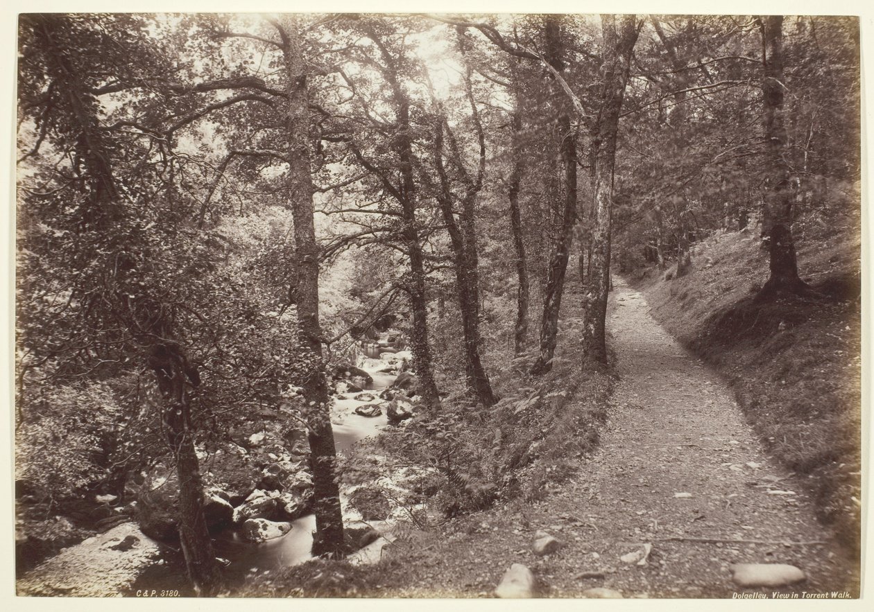 多尔盖利 (Dolgelley)，Torrent Walk 景观 作者 弗朗西斯·贝德福德