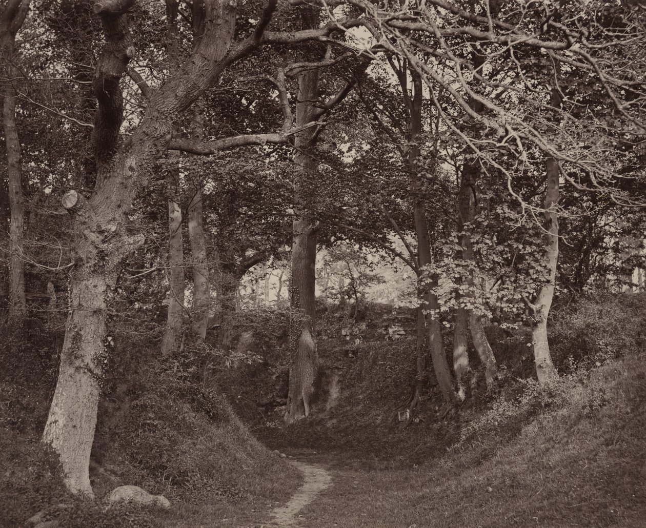 Glen Kenilworth，约 1868 年（照片1868 年（照片） 作者 弗朗西斯·贝德福德