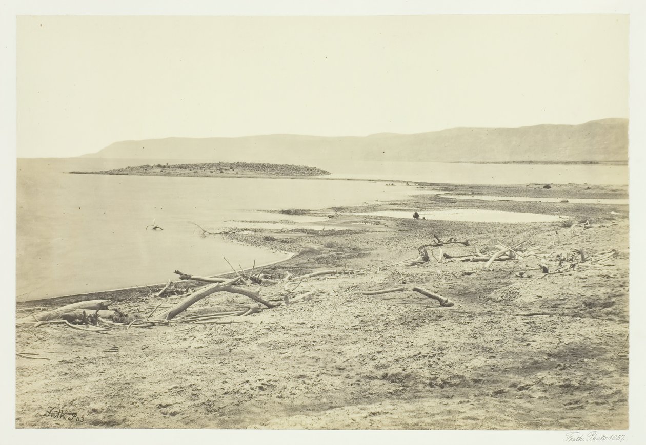 死海的北岸，1857年。 作者 弗朗西斯·弗里斯